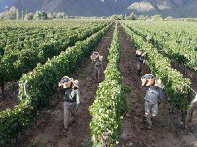 Avanzan en firmar un convenio contra trabajo en negro rural