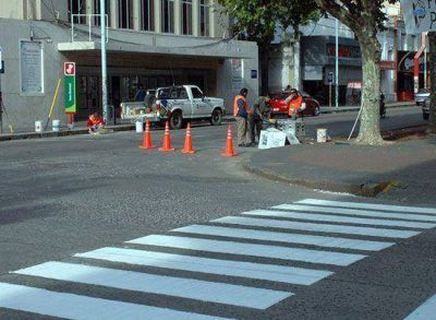 Solicitan precauci�n a conductores por la demarcaci�n de sendas peatonales en la zona c�ntrica