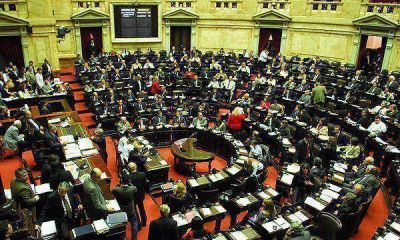  El impuesto al cheque y el matrimonio gay, la agenda para esta ma�ana de Diputados  