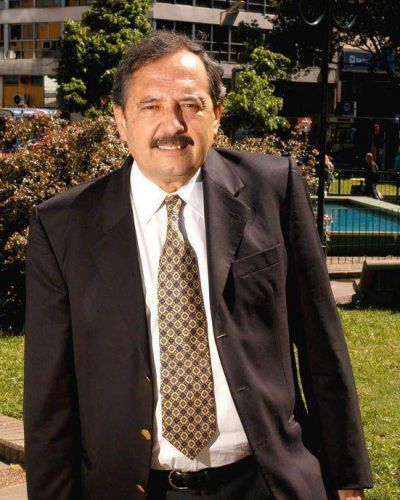 Ricardo Alfons�n lanza su candidatura a presidente de la UCR provincial