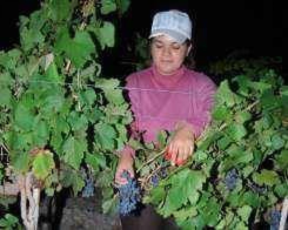 Este a�o repunt� fuerte la salida de uvas a Mendoza