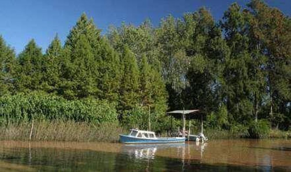 Reconocimiento de la Unesco a la Bi�sfera del Delta del Paran�