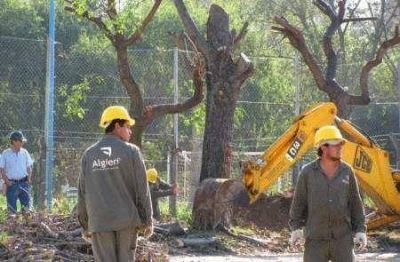 Contundente informe de la Defensor�a del Pueblo de la Naci�n por las obras en Vicente L�pez