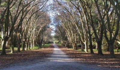 Este s�bado habr� una movilizaci�n por la Reserva del Parque Pereyra