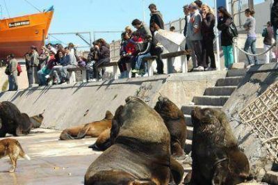 Turismo: gran expectativa en la Costa por el fin de semana largo del 25 de mayo