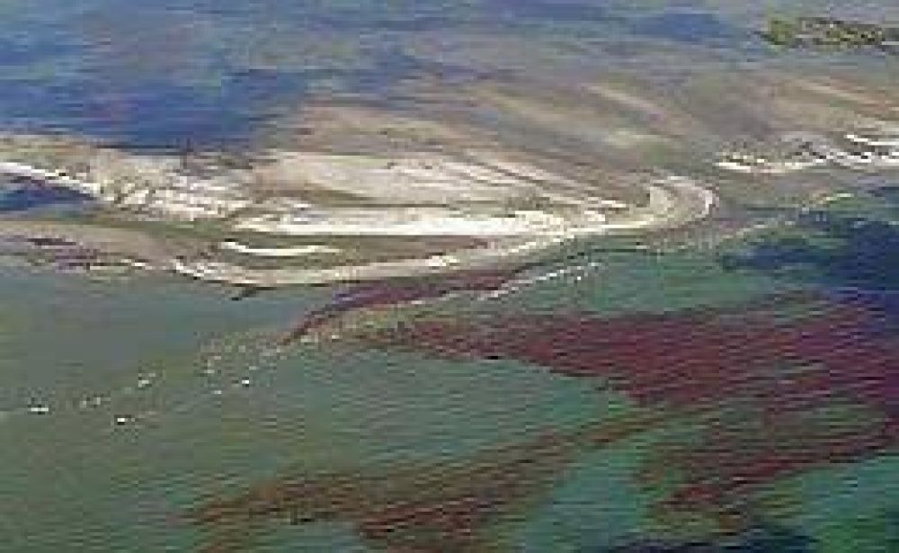 La empresa British Petroleum considera "muy modesto" el impacto medioambiental de la marea negra