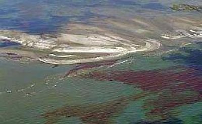 La empresa British Petroleum considera "muy modesto" el impacto medioambiental de la marea negra