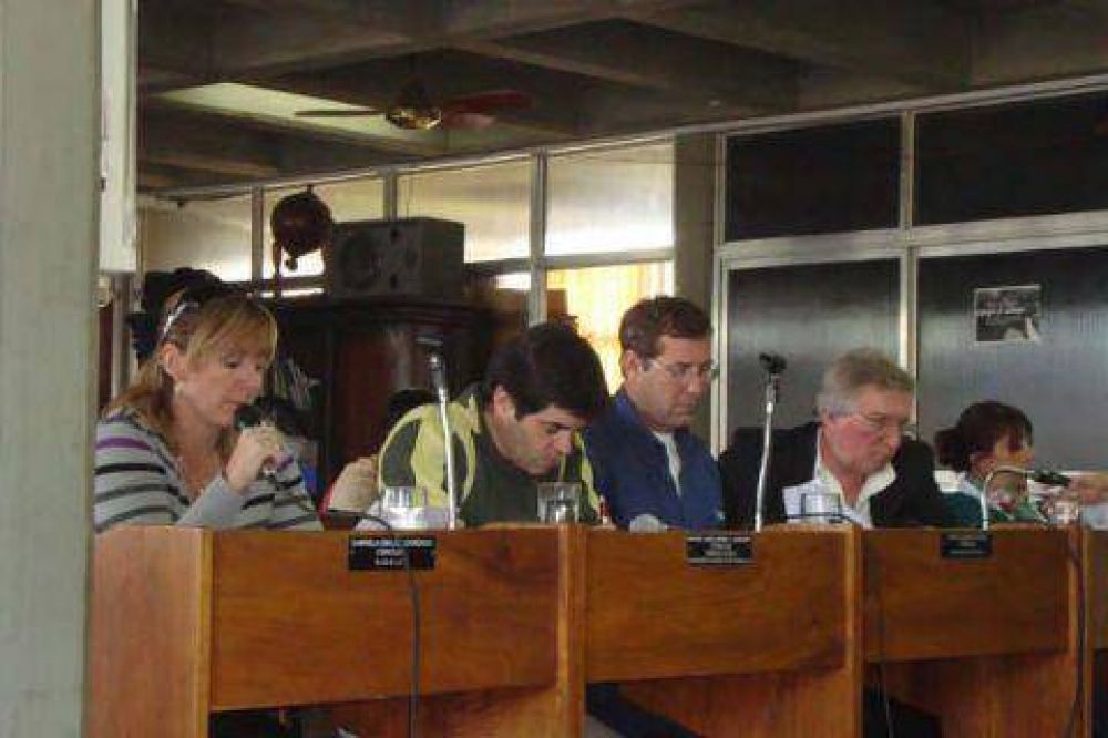 Detalle de los temas debatidos en el plenario del Concejo Deliberante