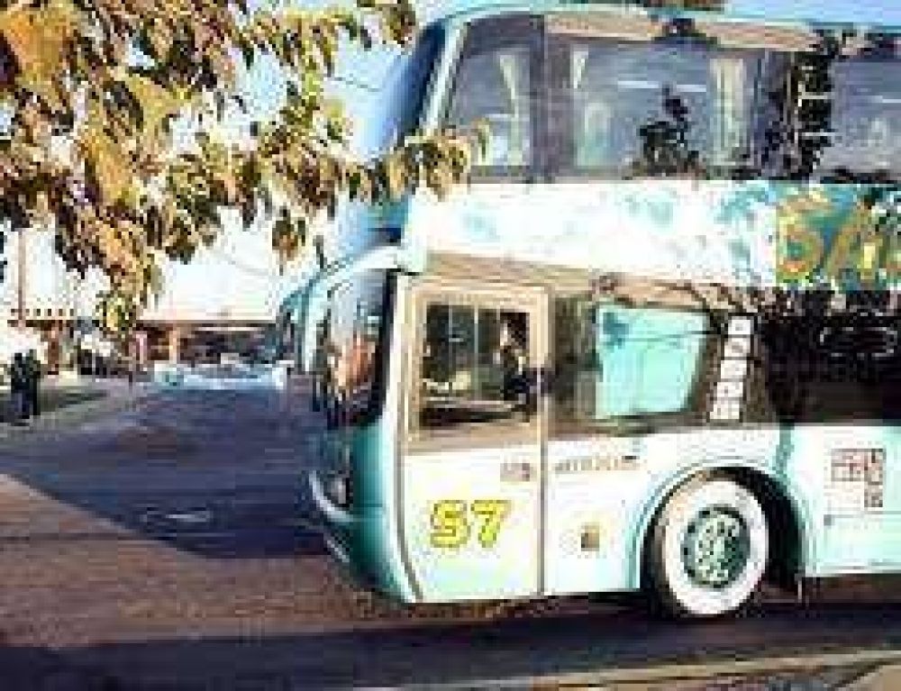 Caos por paro de colectivos
