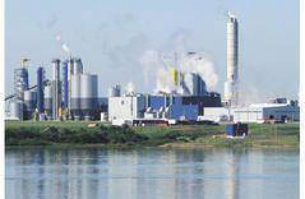 Los due�os de Botnia estudian instalar una pastera en Corrientes