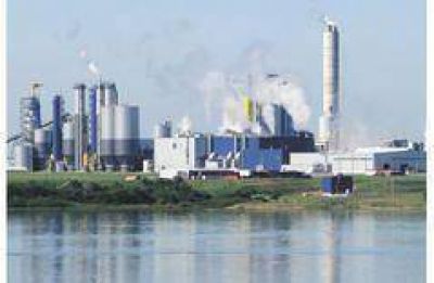 Los due�os de Botnia estudian instalar una pastera en Corrientes