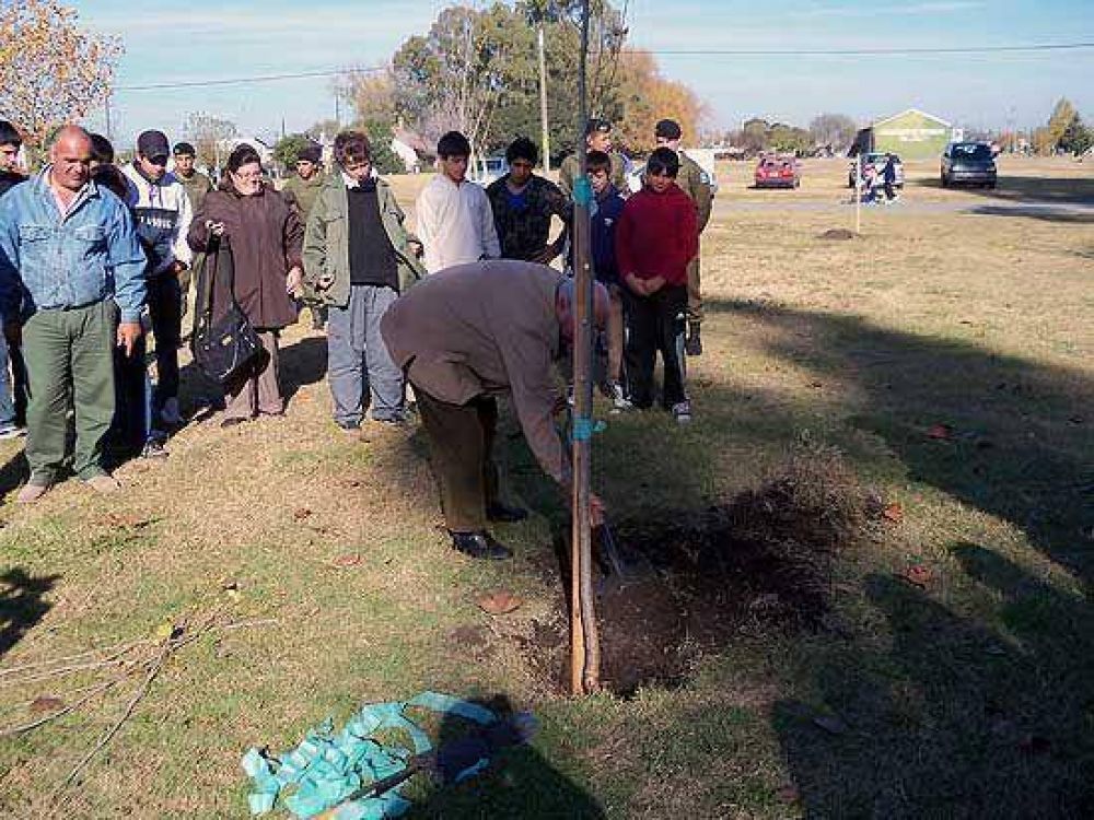 Plantaron 50 nuevos �rboles en el parque Alberdi