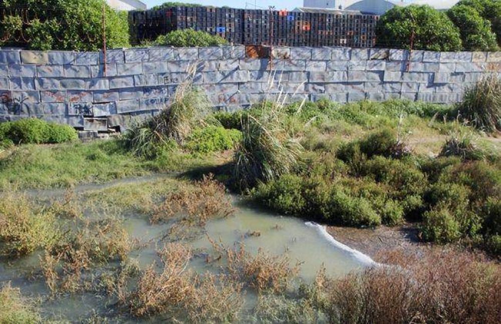 Denuncia por da�o ambiental en la Reserva Natural del Puerto