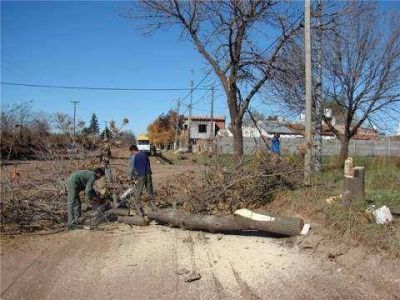 Desmonte en Avenida Pastor Bauman