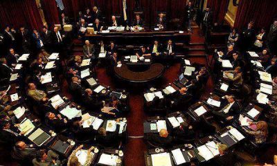  El Senado se prepara para debatir el matrimonio gay  