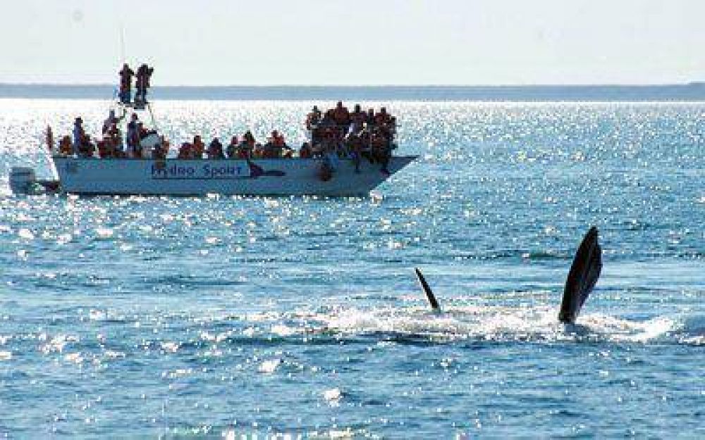 Chubut abre la temporada de ballenas en Puerto Pir�mides