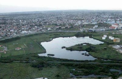 Jornada de limpieza en la Reserva Natural del Puerto