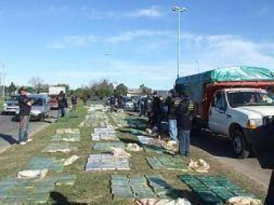 Incautan m�s de dos toneladas de marihuana en Burzaco y Longchamps