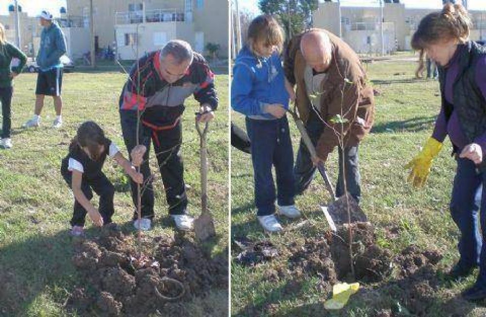 Con participaci�n vecinal Masiva plantaci�n de �rboles en el Barrio N�utico