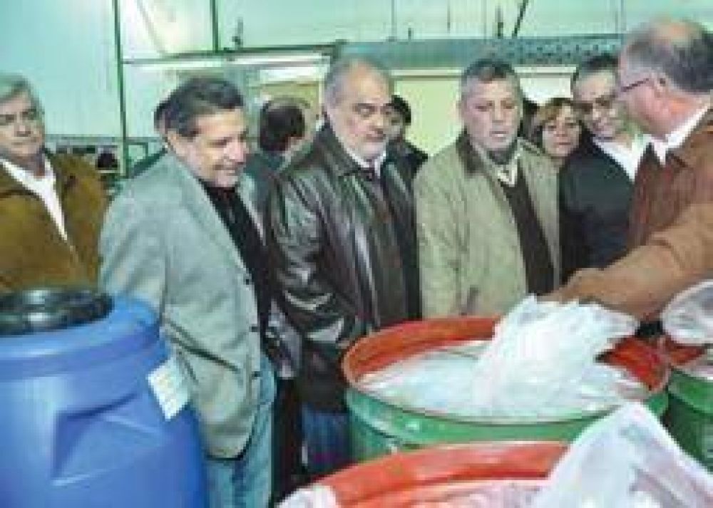 Buscan que Agroandina procese 40 millones de kilos de tomate al a�o