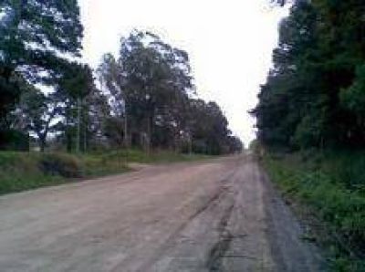 Buscan reemplazar granza por una capa asf�ltica m�s econ�mica