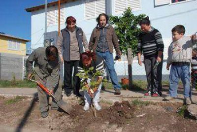 Actividades en la Semana del Ambiente