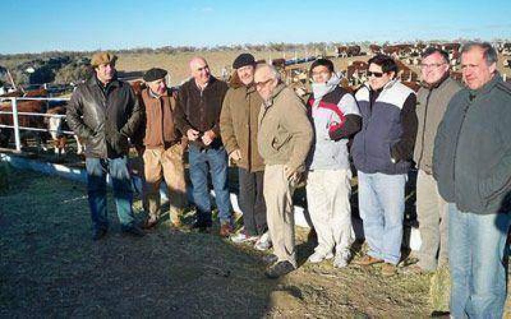 Ponen en pr�ctica el �feedlot� en Truncado