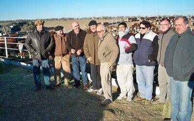 Ponen en pr�ctica el �feedlot� en Truncado