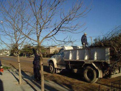 Poda y parquizaci�n en Carmen de Patagones 