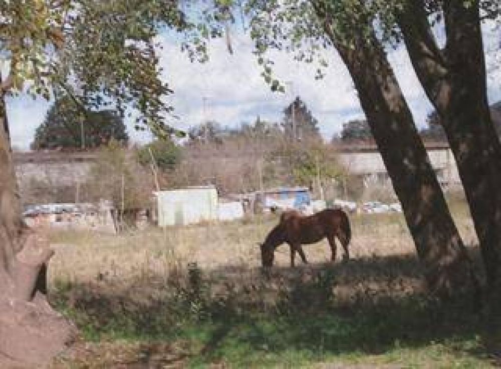 Ocupaci�n de tierras en Justa Lima y Teodoro Fels Vecinos se reunieron con Fortune preocupados por asentamiento