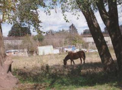 Ocupaci�n de tierras en Justa Lima y Teodoro Fels Vecinos se reunieron con Fortune preocupados por asentamiento