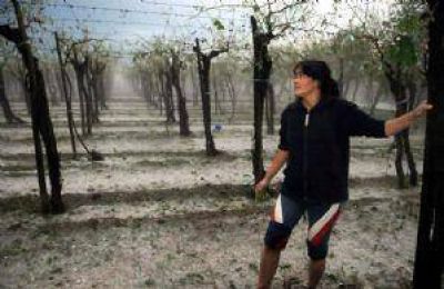 La Provincia espera la llegada de $ 38 millones para ayuda a productores