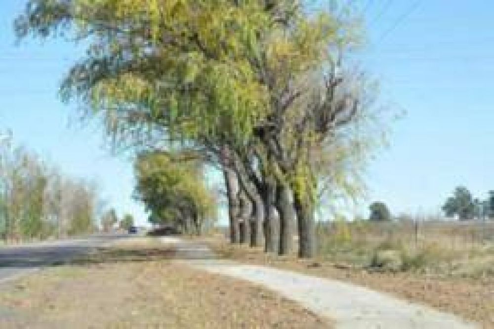 Trenque Lauquen Las Cooperativas siguen dejando su "huella"
