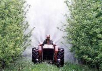 Proponen exenciones para productores provinciales