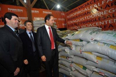 Scioli entreg� 1.200 toneladas de semillas para "la reconversi�n productiva" del sudoeste