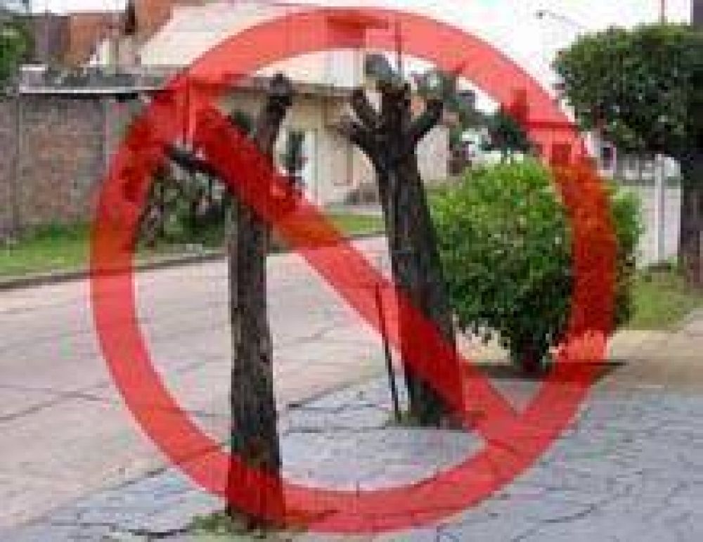 El municipio reiter� la Prohibici�n de podar