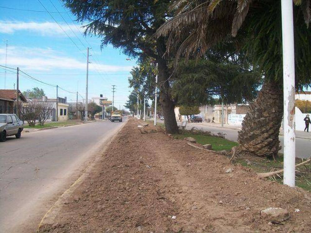 Comenzar�n a forestar nuevamente el boulevard Ameghino