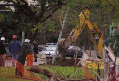Vecinos resisten para evitar que talen �rboles