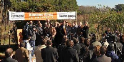 Plan de Forestaci�n Bonaerense  Scioli entreg� 15 mil plantas a 50 municipios
