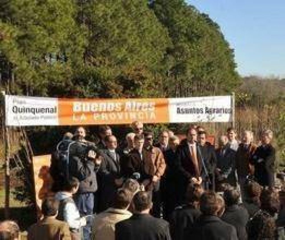 Carignani recibi� �rboles de Scioli