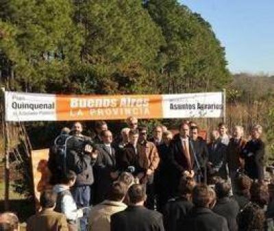 Carignani recibi� �rboles de Scioli