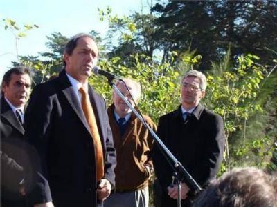 El Municipio recibir� �rboles para forestar