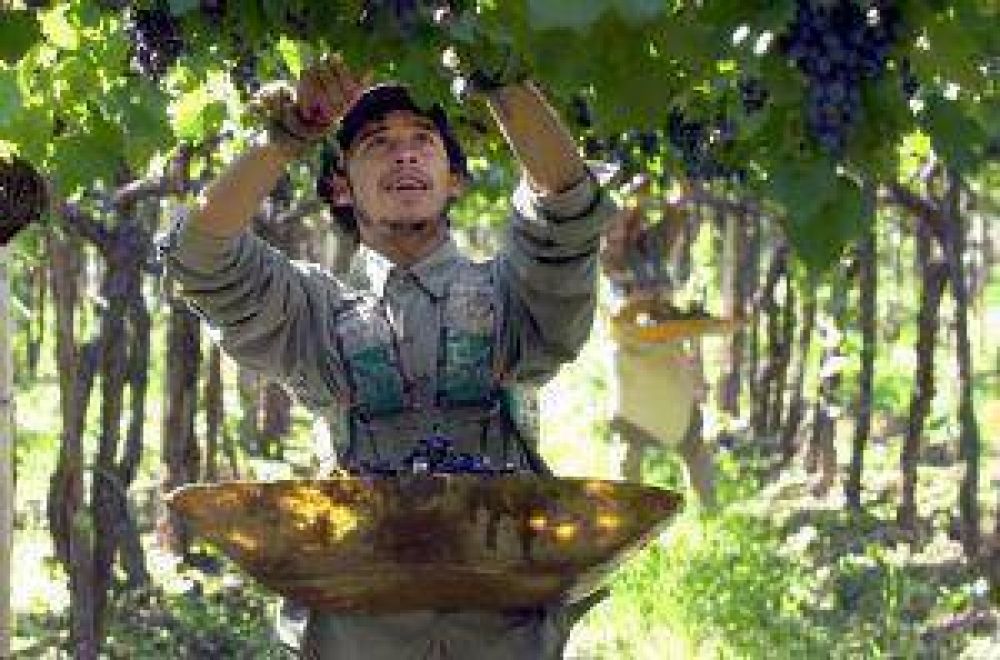 Firman la entrega de $54 millones a la vitivinicultura
