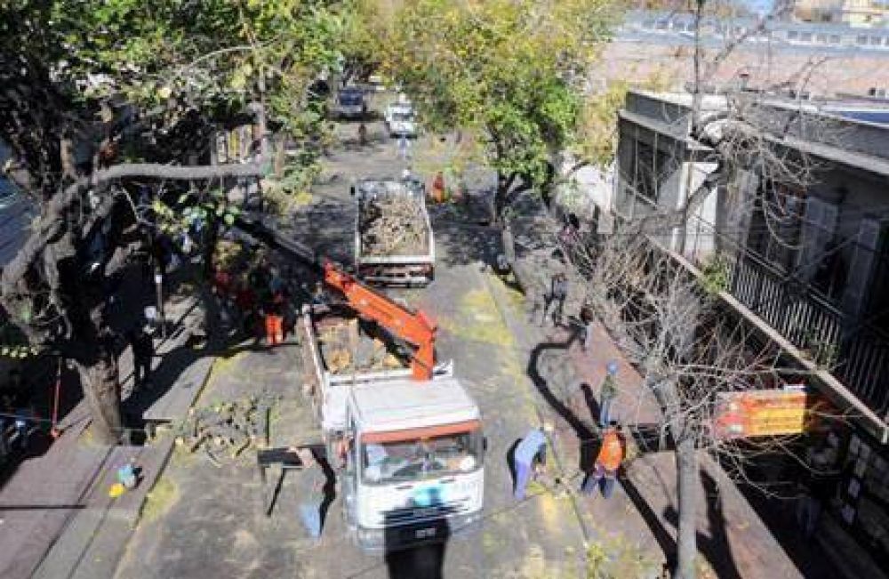 Capital record� a los conductores que esta semana comenz� a podar los �rboles en el centro