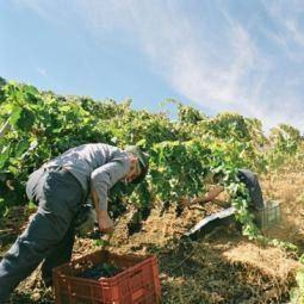 La Rioja y Naci�n firman convenio de asistencia al sector vitivin�cola