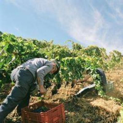 La Rioja y Naci�n firman convenio de asistencia al sector vitivin�cola