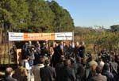 Entregaron 15 mil plantas a cincuenta municipios