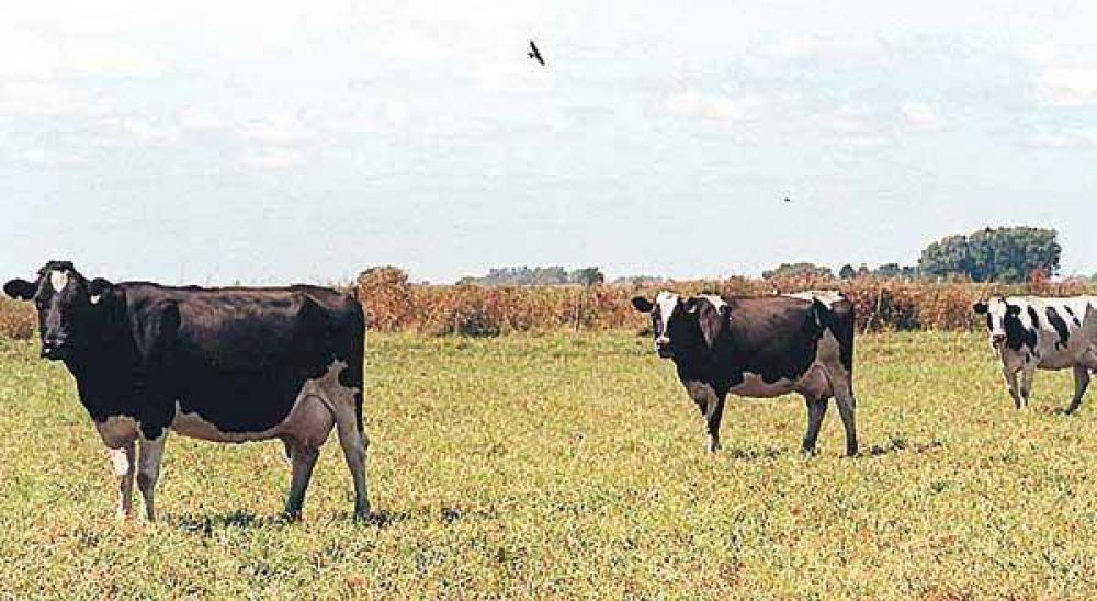 Buscan acuerdos para aplicar cambios en Inmobiliario Rural