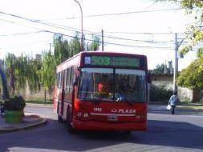 Bah�a Blanca: Paro de colectiveros en toda la ciudad
