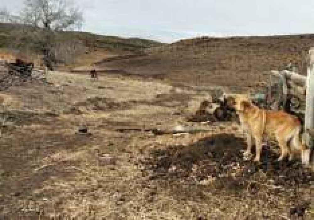 El Gobierno niega que exista un conflicto de tierras en el interior